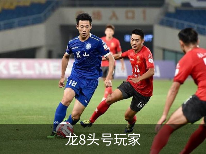 龙8头号玩家介绍
